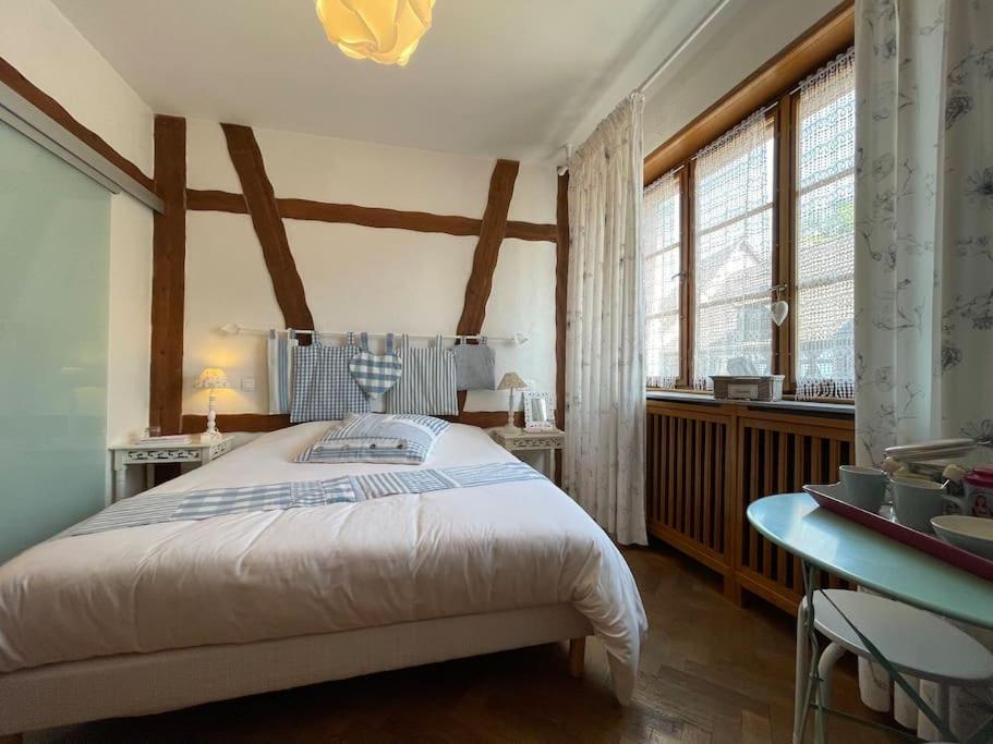 La Petite Chambre Bleue - Centre Historique-2 Pers-Non Accessible Au Personnes A Mobilite Reduite Кайзерсберг Экстерьер фото